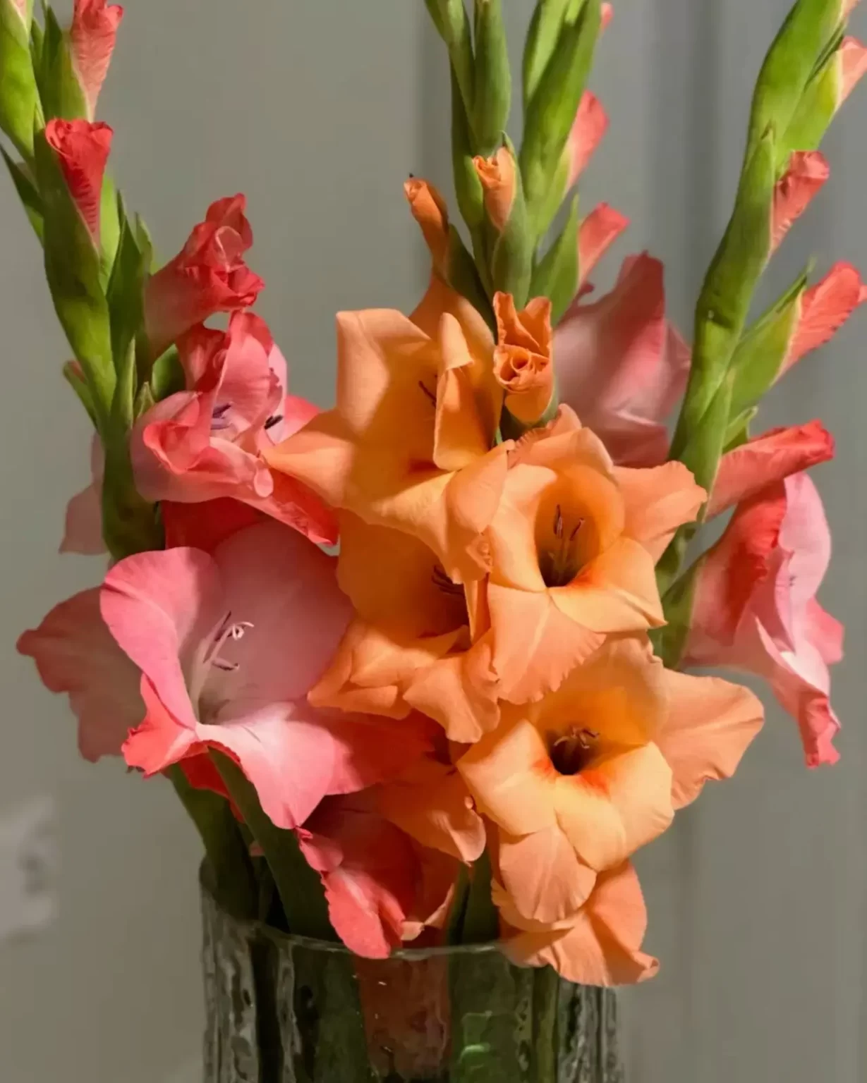 24fe5027825e9caaf61bd7afed65a6af