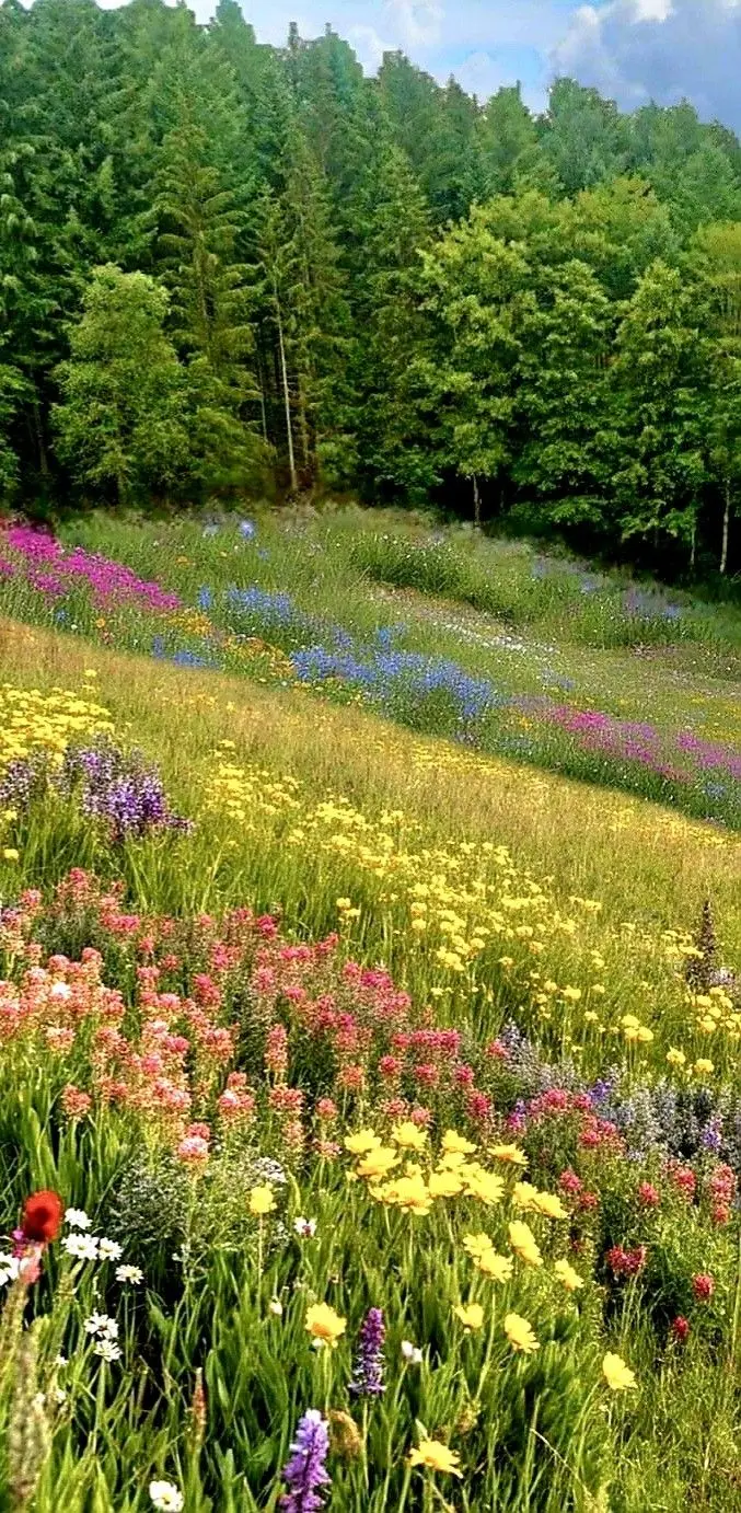 713d84c9bda6b6507efe0dd3355c2325