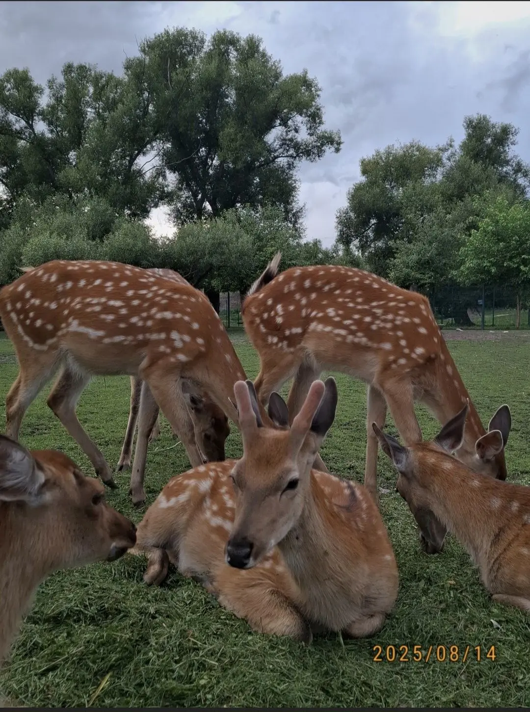 f38c779997392e05b3e1d9ff6156ef00